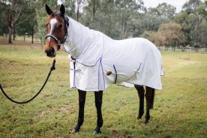 cotton horse gear, cotton horse rugs