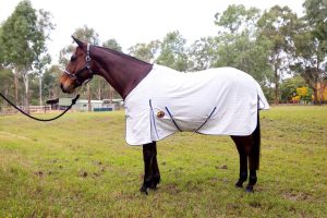cooler rugs, exercise rugs, summer sheets