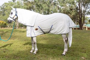 horse rugs, horse gear