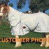 horse clothes, horse blanket, horse sheet,