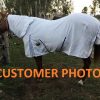 horse rugs, horse gear