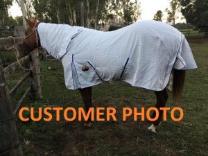 horse rugs, horse gear