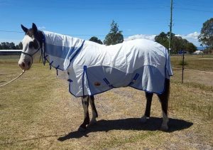 horse rugs qld, horse rugs brisbane, horse rugs gold coast, horse rugs sunshine coast, horse rugs townsville