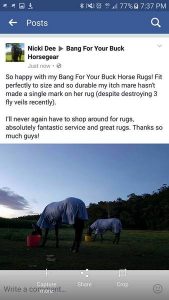 Bang for your buck horse gear facebook