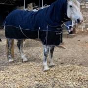 winter horse rugs