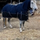 winter horse rugs