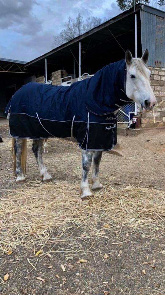 winter horse rugs