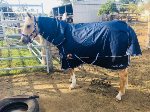 horse rug supplier Australia wide