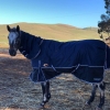 affordable horse rugs