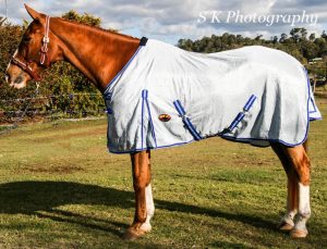 430 GSM Air mesh horse rugs