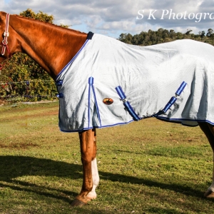 430 GSM Air mesh horse rugs