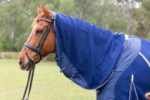 horse rugs new castle, horse rugs wollongong