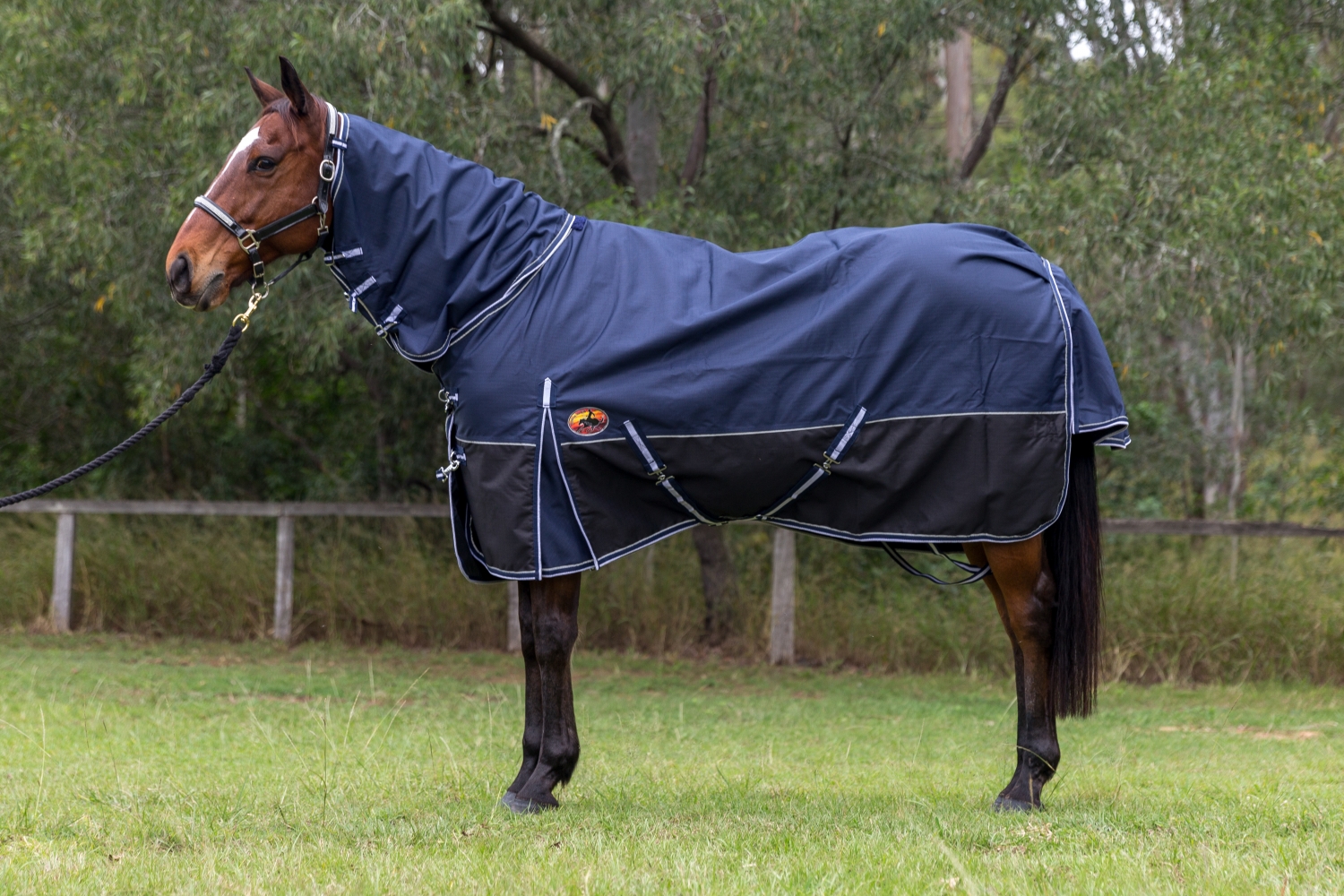 1200 Denier Rainsheet Combo Bang For Your Buck Horsegear