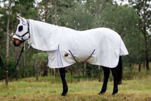 horse rugs, hooded horse rugs