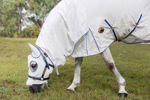 horse rugs, horse gear, horse sheet, horse blanket