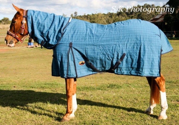 canvas horse combo rugs