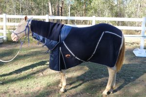 Horse Rugs Australia, Horse rugs Queensland