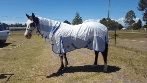 horse rugs, horse gear, horse blanket, horse sheet