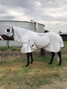 horse rugs