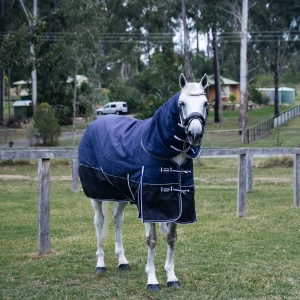 horse rugs, winter horse rugs, summer horse rugs