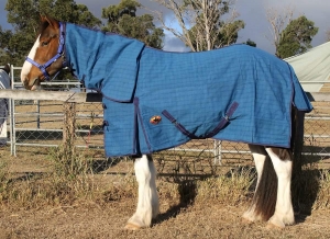 all size horse rugs
