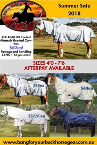 2018 Summer sale horse gear, 2019 horse rugs