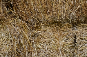 stacked bales of hay