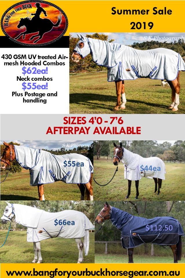 summer horse rugs Bang For Your Buck Horsegear