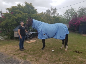 horse rugs Australia, quality horse rugs