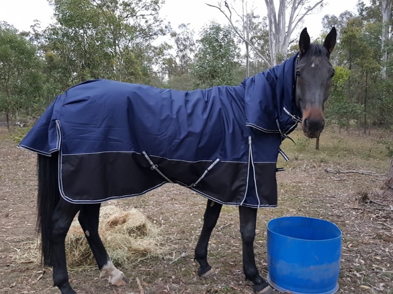 Quality Horse rugs Australia Bang For Your Buck Horsegear