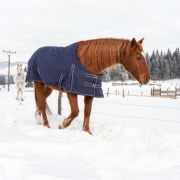 horse rugs on hotblooded horses