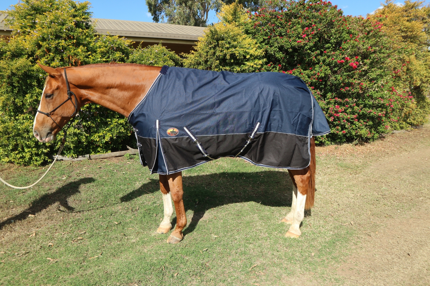 1200 Denier Rainsheet Horse Rug Bang For Your Buck Horsegear