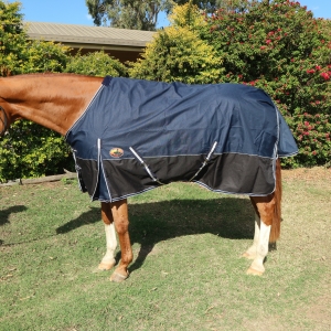 Horse rugs Queensland, Australia Horse rugs