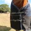 Horse rugs australia