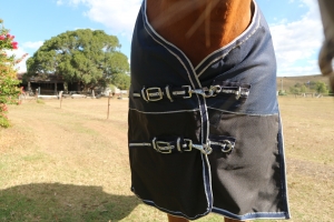 Horse rugs australia