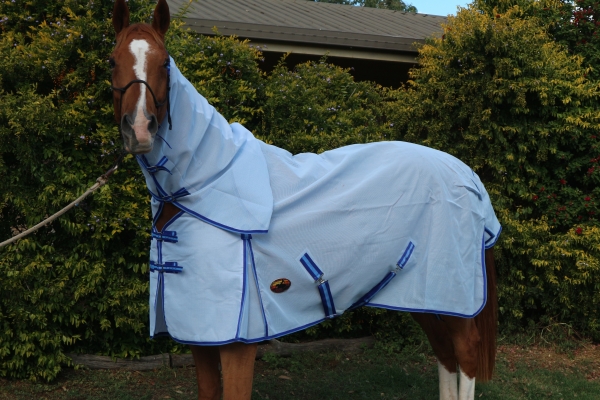 Horse rugs, horse gear, horse,