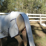 horse rug tail bags