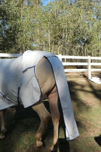horse rug tail bags
