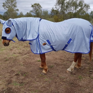 customers horse wearing 430 gsm uv treated airmesh hooded combo